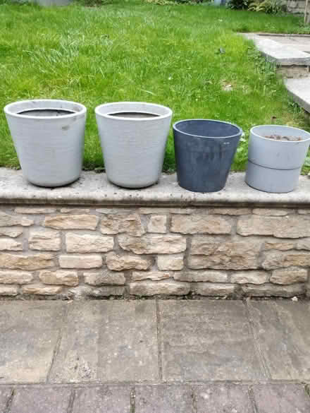Photo of free Indoor/Outdoor Plant Pots (Odd Down, Bath) #1