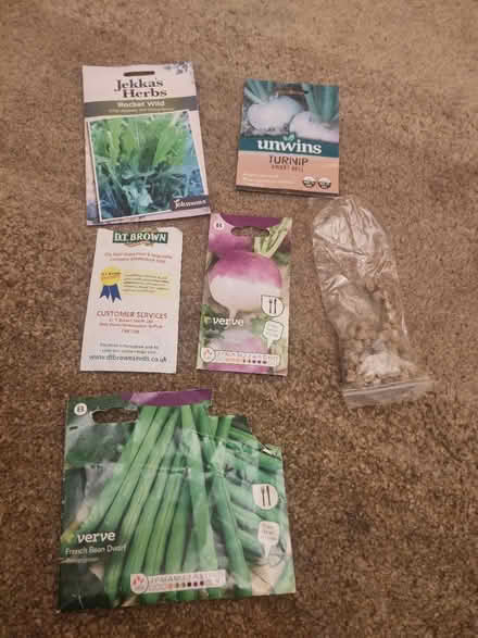 Photo of free Old seeds (Bexhill old town, TN40) #1