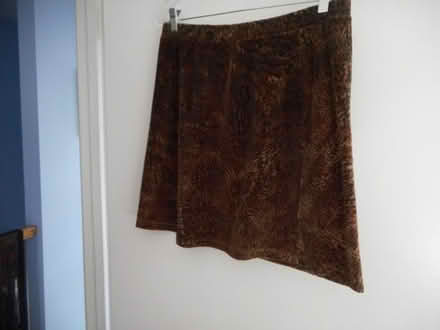 Photo of free Ladies animal print mini-skirt #1