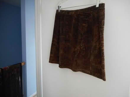 Photo of free Ladies animal print mini-skirt #2