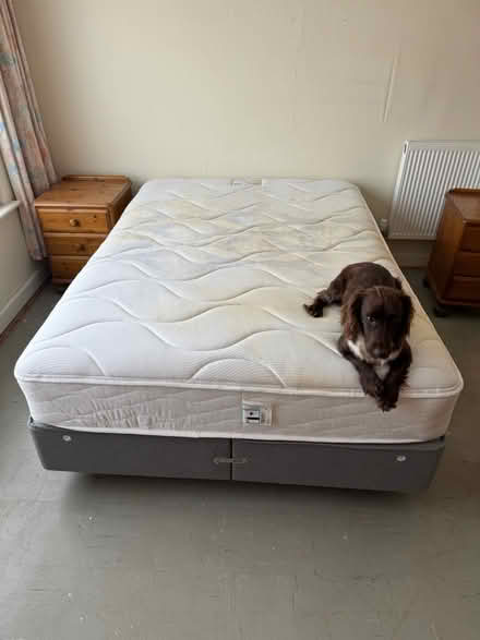 Photo of free Double bed and mattress (Potterspury NN12) #1