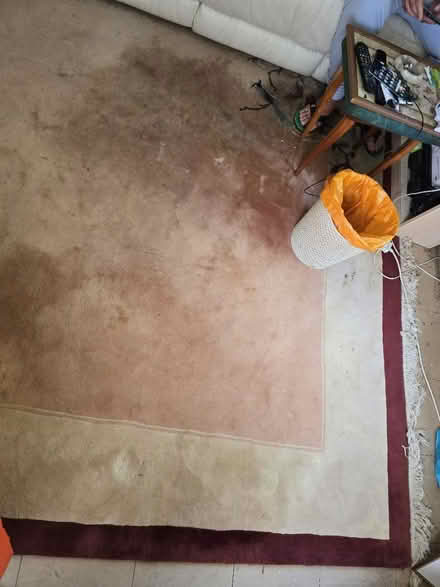 Photo of free Extra thick heavy rug, 3X2 metre (Colchester Greenstead CO4) #2