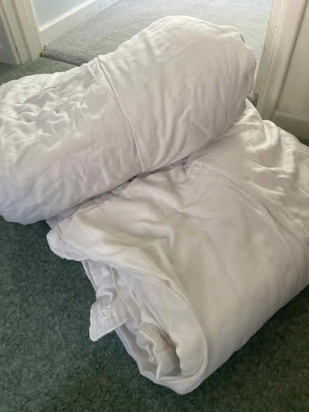 Photo of free 2 x single duvets (Wallands Park BN7) #1