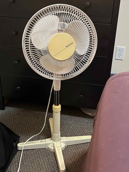 Photo of free Stand up Holmes fan (Northgate) #1