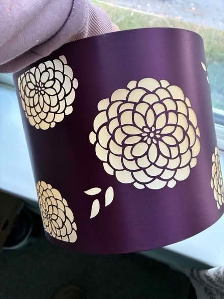 Photo of free Light shade (Wisewood S6) #1