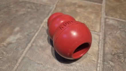 Photo of free Dog feeding cone (Norcot RG30) #2