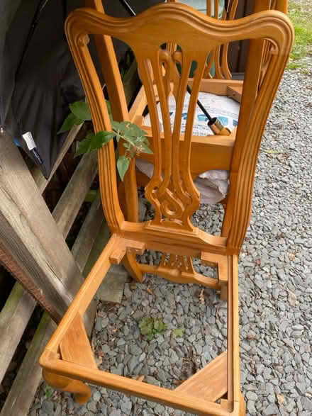 Photo of free Set of 4 dinning chairs (AL4, St albans) #1