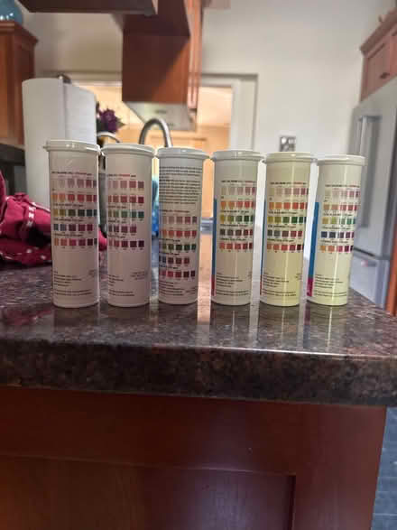 Photo of free Pool test strips 6 way (Meacham and Kirchhoff) #1