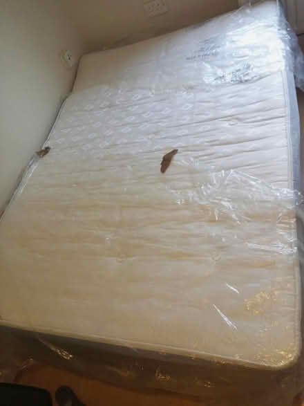 Photo of free Double mattress (SW15 4) #1