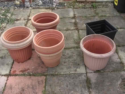 Photo of free plantpots (Reabrook Estate SY3) #1
