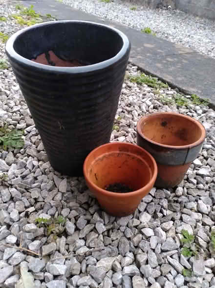 Photo of free Pots (Warton LA5) #1