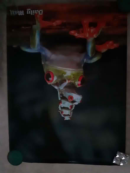 Photo of free Posters x 3 (Chatham ME4) #3