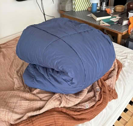 Photo of free Queen comforter (Ballard) #1