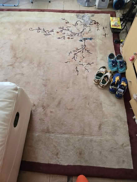 Photo of free Extra thick heavy rug, 3X2 metre (Colchester Greenstead CO4) #1