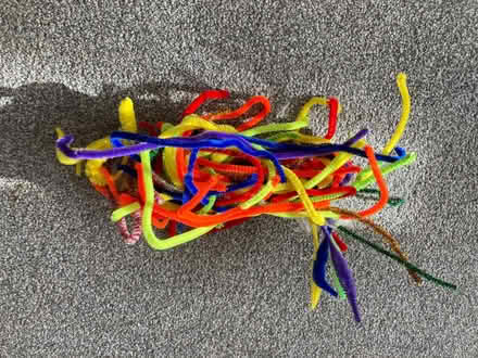 Photo of free Pipe Cleaners (CT1) #1