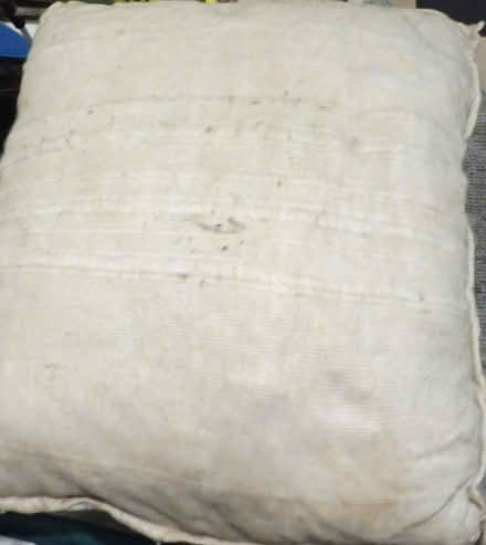 Photo of free Foam chips in old cushion (Glasgow G43) #1