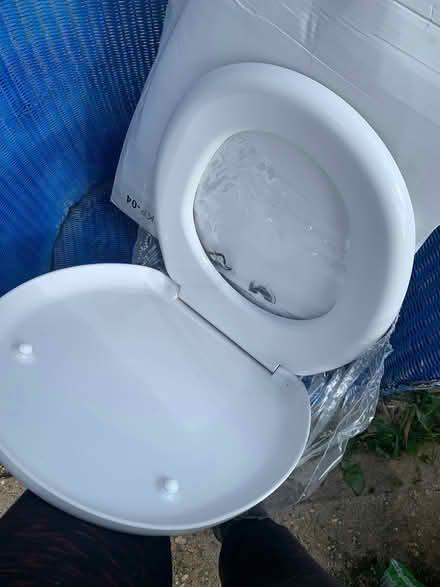 Photo of free White loo seat (Ringwood BH24) #2