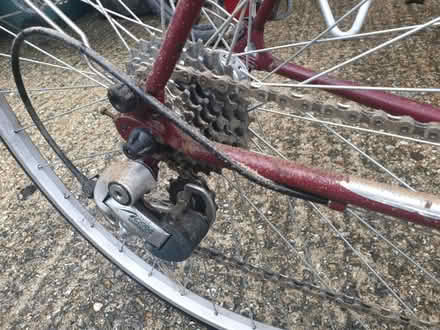 Photo of free 58cm Peugeout Bicycle - no seatpost (Frimley Green (GU16)) #3