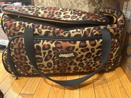 Photo of free Various sized bags (Rockville) #1