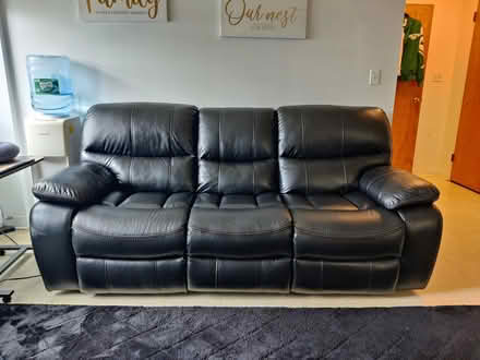 Photo of free Needs a New Home by (Hackensack NJ) #4