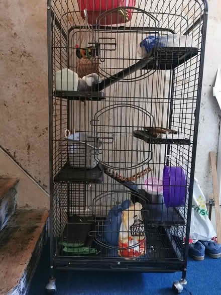Photo of free Small pet cage (Bridlington YO15) #1