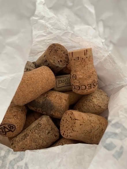 Photo of free Bag of corks (Sharrow, S7) #1