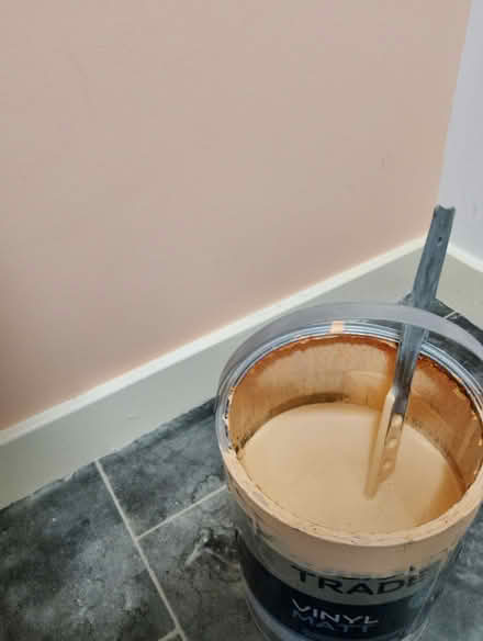 Photo of free Vinyl Matt Paint 'Sunset Sands' 5L (LE8 5AH) #1