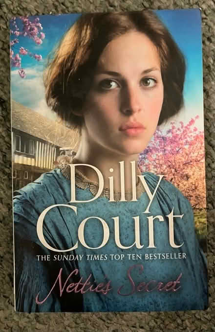 Photo of free 11 Dilly Court books (Brinnington SK5) #3