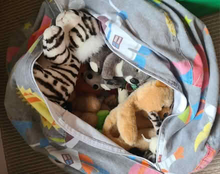 Photo of free Large bag mixed cuddly toys (ME1) #1