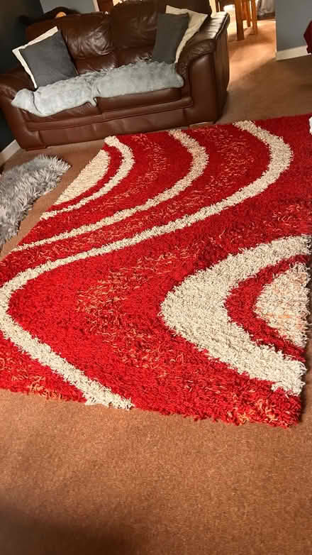 Photo of free Large rug (Sharples Bolton BL1) #1