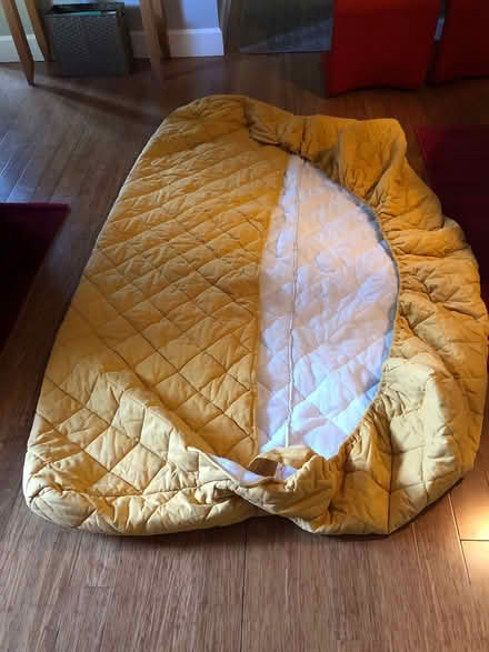 Photo of free Padded slip cover for daybed (Carlington/Civic Hospital) #1