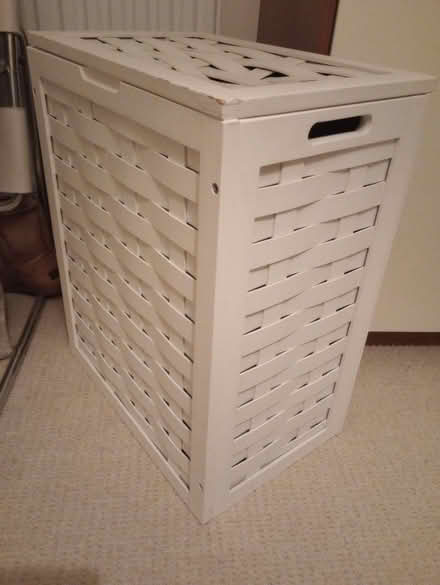 Photo of free Lauudry basket (Blanchardstown) #1