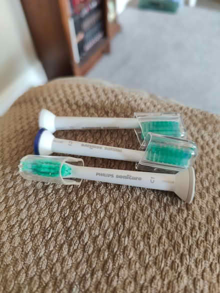 Photo of free Sonicare brushes x3 (Cashes Green GL5) #1