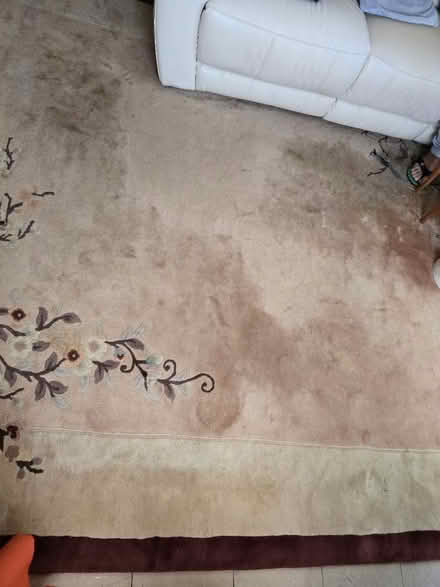 Photo of free Extra thick heavy rug, 3X2 metre (Colchester Greenstead CO4) #4