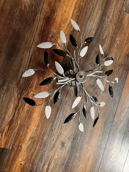 Photo of free Ceiling light working order (Spondon DE21) #1