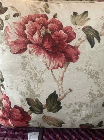 Photo of free Floral cushions (+ padding) (St. Georges TF2) #1