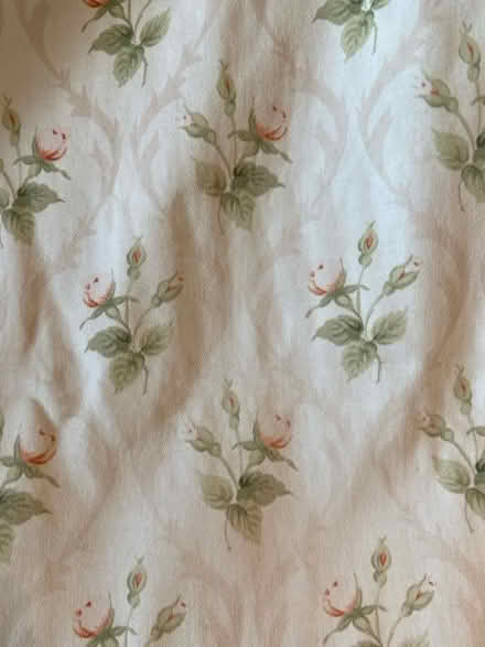 Photo of free Pair of curtains (Botley OX2) #2