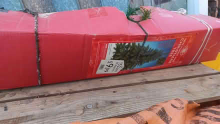 Photo of free Christmas tree (Wiggenhall St Mary The Virgin PE34) #1