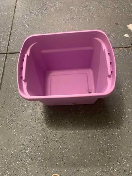 Photo of free Sterilite plastic storage container (Windemere) #2
