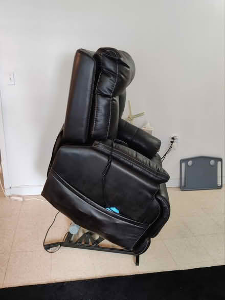 Photo of free Needs a New Home by (Hackensack NJ) #2