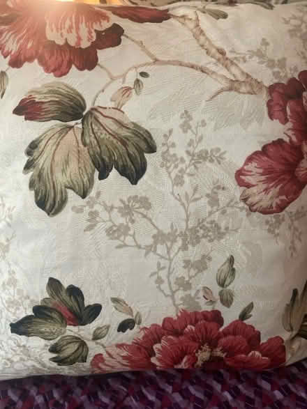 Photo of free Floral cushions (+ padding) (St. Georges TF2) #3