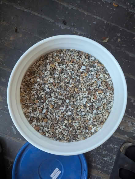 Photo of free Aquarium gravel (Brockton Village) #1