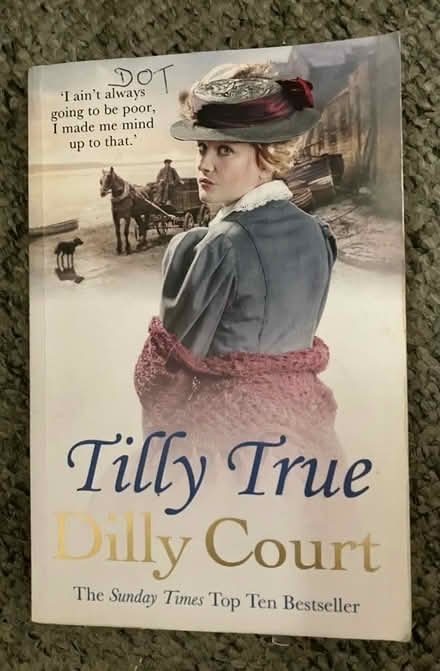 Photo of free 11 Dilly Court books (Brinnington SK5) #4