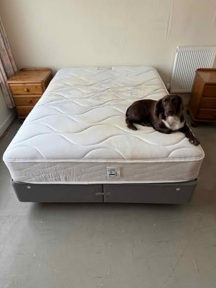 Photo of free Double bed and mattress (Potterspury NN12) #2