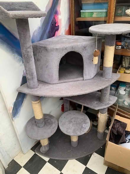 Photo of free Cat tree (Fairfield Park) #1