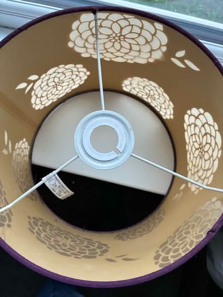 Photo of free Light shade (Wisewood S6) #3