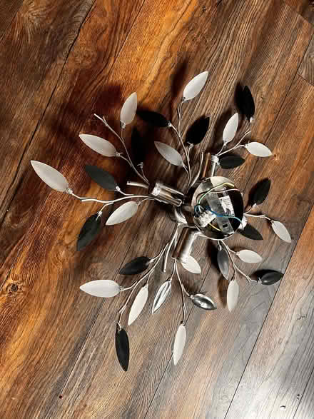 Photo of free Ceiling light working order (Spondon DE21) #2