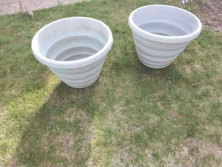 Photo of free Plant Pots (CT10) #1