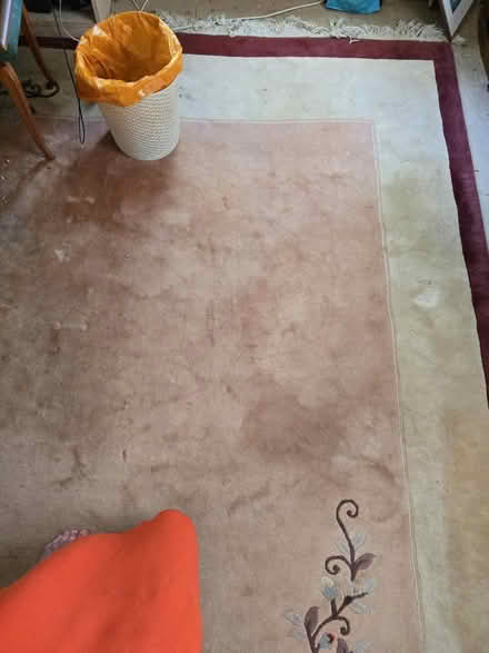 Photo of free Extra thick heavy rug, 3X2 metre (Colchester Greenstead CO4) #3