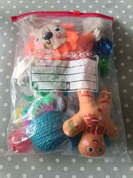 Photo of free Cat toys (Monkstown BT37) #1